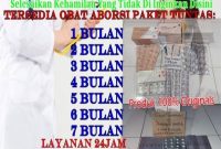 Jual Obat Aborsi Kupang Nusa Tenggara Timur