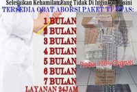 Jual Obat Aborsi Pekanbaru